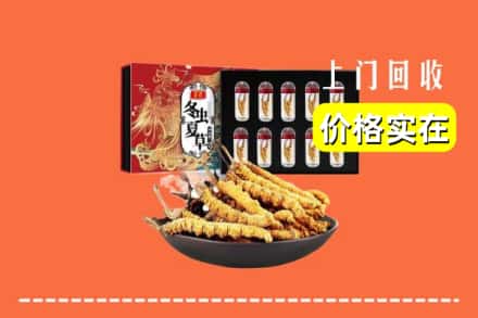 金川区回收冬虫夏草